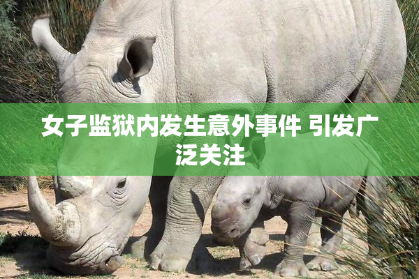 女子监狱内发生意外事件 引发广泛关注