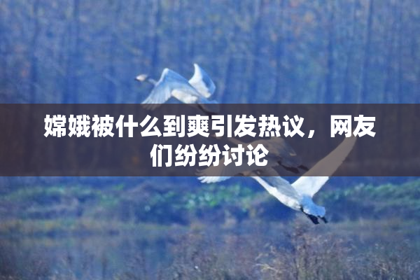 嫦娥被什么到爽引发热议，网友们纷纷讨论