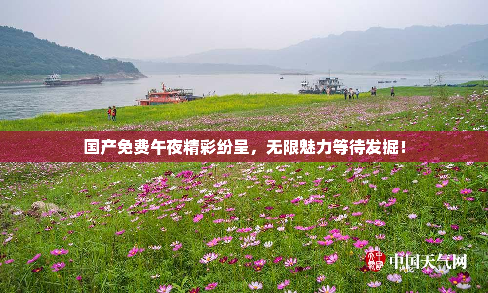 国产免费午夜精彩纷呈，无限魅力等待发掘！