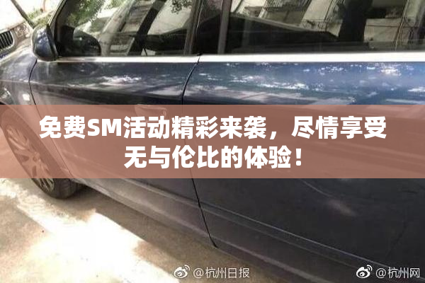 免费SM活动精彩来袭，尽情享受无与伦比的体验！