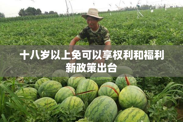十八岁以上免可以享权利和福利新政策出台