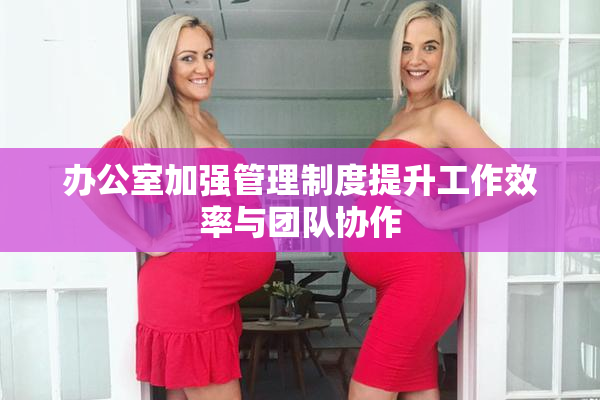 办公室加强管理制度提升工作效率与团队协作
