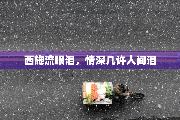 西施流眼泪，情深几许人间泪