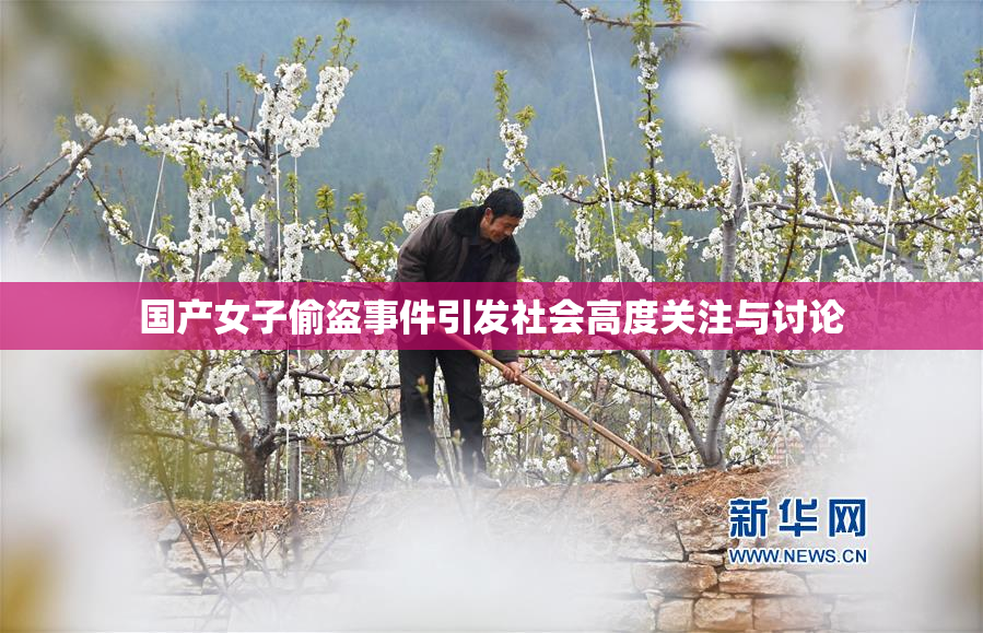 国产女子偷盗事件引发社会高度关注与讨论