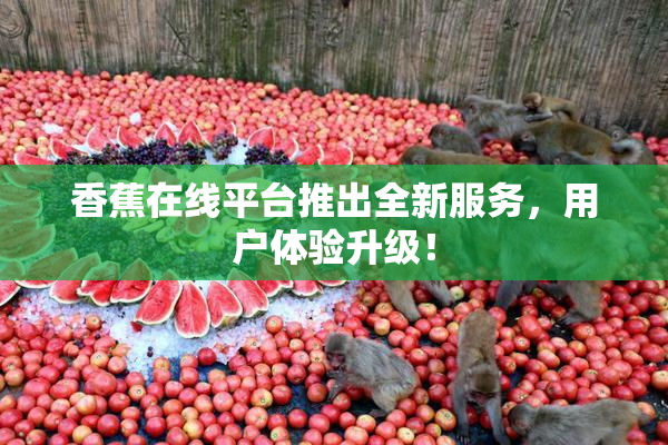 香蕉在线平台推出全新服务，用户体验升级！