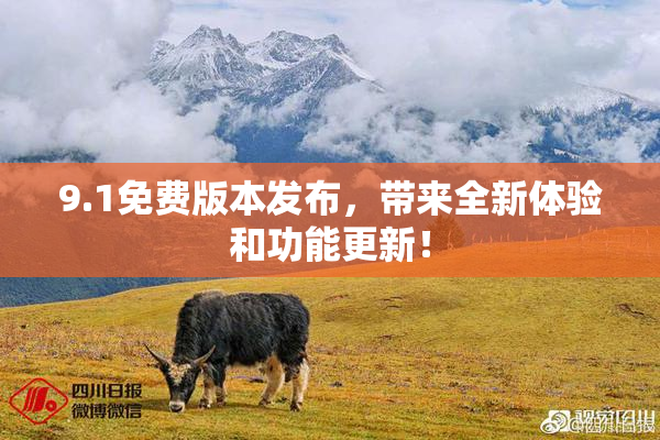 9.1免费版本发布，带来全新体验和功能更新！