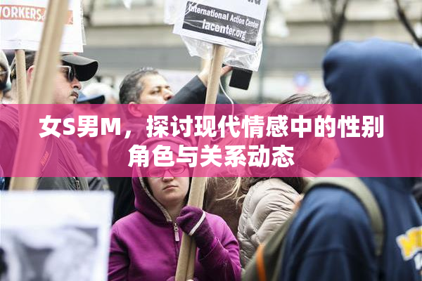 女S男M，探讨现代情感中的性别角色与关系动态
