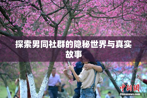 探索男同社群的隐秘世界与真实故事