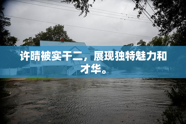 许晴被实干二，展现独特魅力和才华。