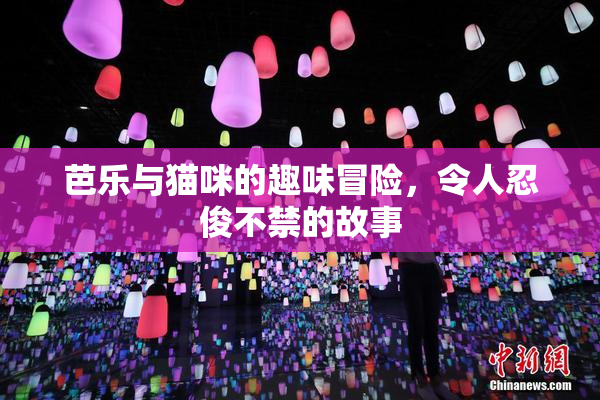 芭乐与猫咪的趣味冒险，令人忍俊不禁的故事