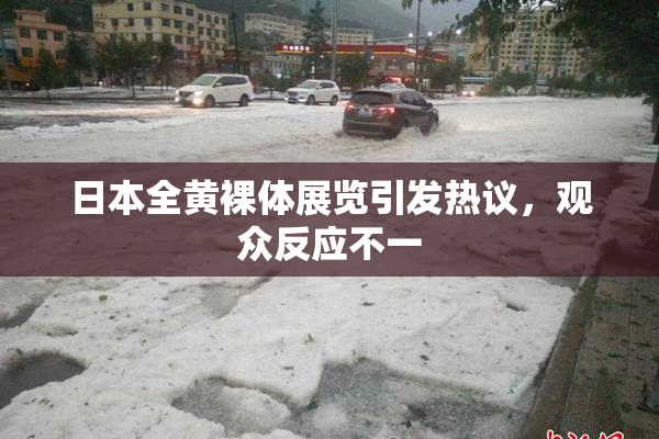 日本全黄裸体展览引发热议，观众反应不一