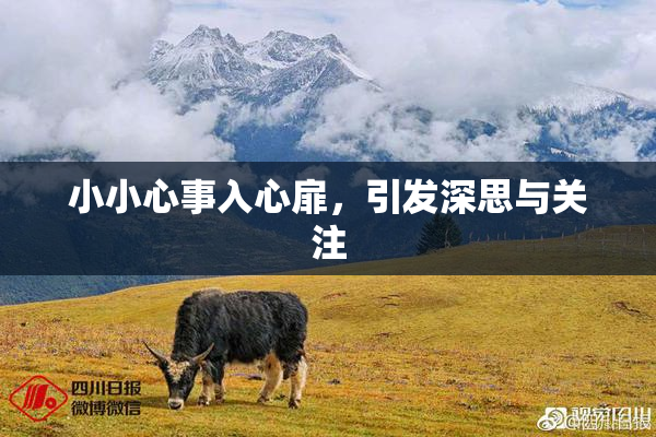 小小心事入心扉，引发深思与关注