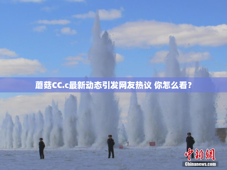 蘑菇CC.c最新动态引发网友热议 你怎么看？