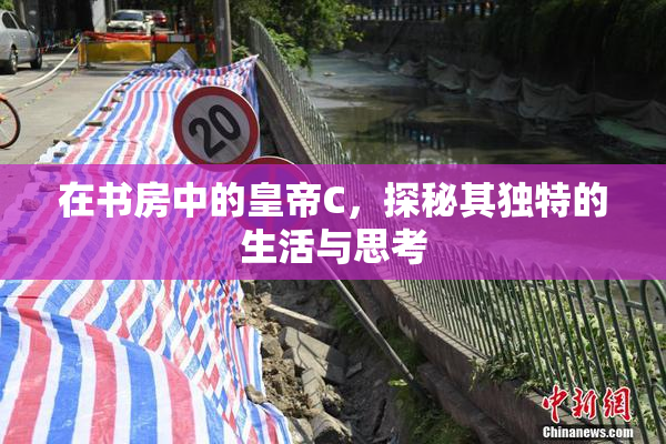 在书房中的皇帝C，探秘其独特的生活与思考