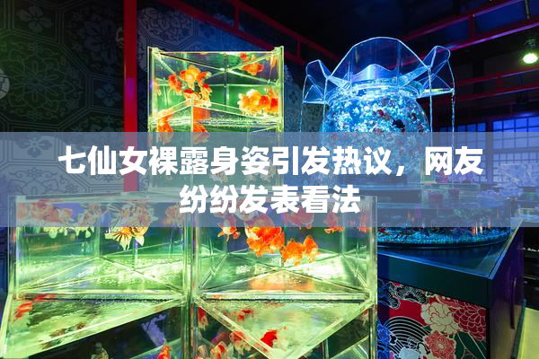 七仙女裸露身姿引发热议，网友纷纷发表看法
