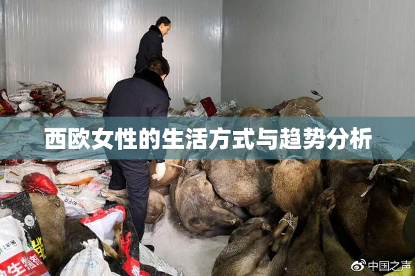 西欧女性的生活方式与趋势分析