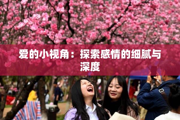 爱的小视角：探索感情的细腻与深度