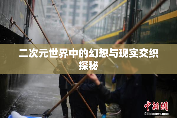 二次元世界中的幻想与现实交织探秘