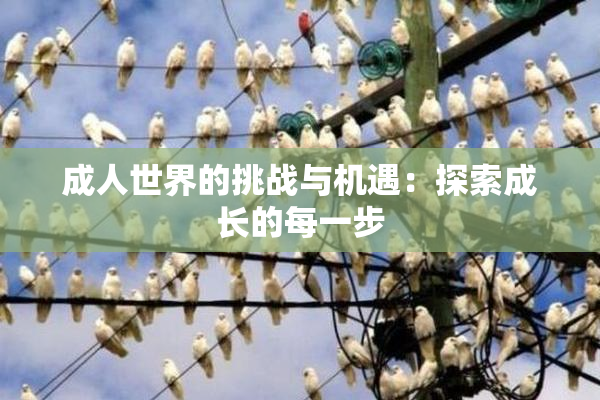 成人世界的挑战与机遇：探索成长的每一步