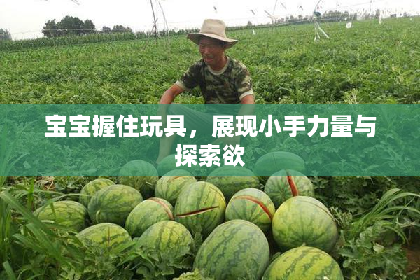 宝宝握住玩具，展现小手力量与探索欲