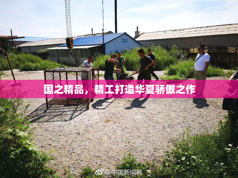 国之精品，精工打造华夏骄傲之作