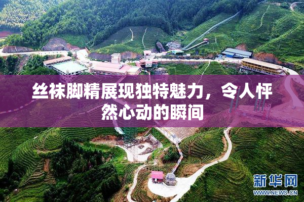 丝袜脚精展现独特魅力，令人怦然心动的瞬间
