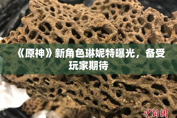 《原神》新角色琳妮特曝光，备受玩家期待