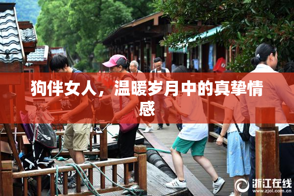 狗伴女人，温暖岁月中的真挚情感