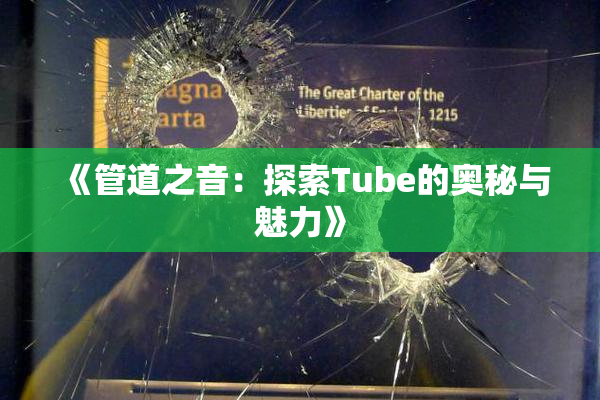 《管道之音：探索Tube的奥秘与魅力》