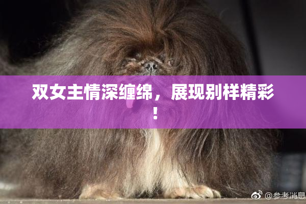 双女主情深缠绵，展现别样精彩！