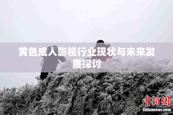 黄色成人影视行业现状与未来发展探讨