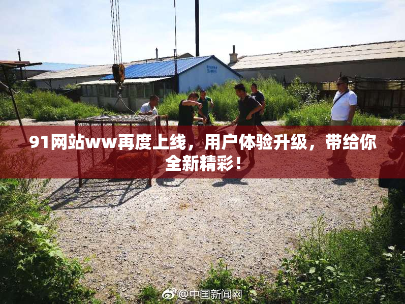 91网站ww再度上线，用户体验升级，带给你全新精彩！