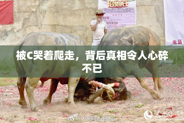 被C哭着爬走，背后真相令人心碎不已