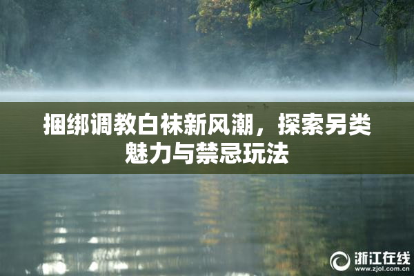 捆绑调教白袜新风潮，探索另类魅力与禁忌玩法
