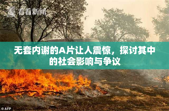 无套内谢的A片让人震惊，探讨其中的社会影响与争议