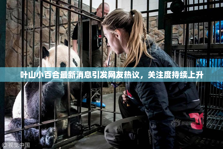 叶山小百合最新消息引发网友热议，关注度持续上升