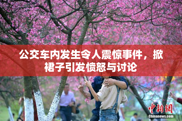 公交车内发生令人震惊事件，掀裙子引发愤怒与讨论