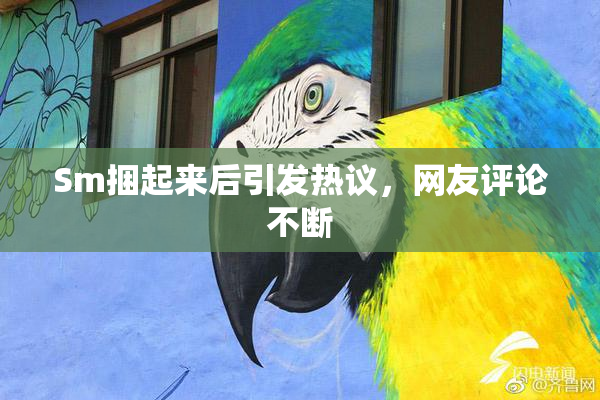 Sm捆起来后引发热议，网友评论不断