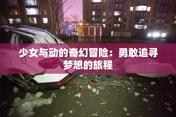 少女与动的奇幻冒险：勇敢追寻梦想的旅程