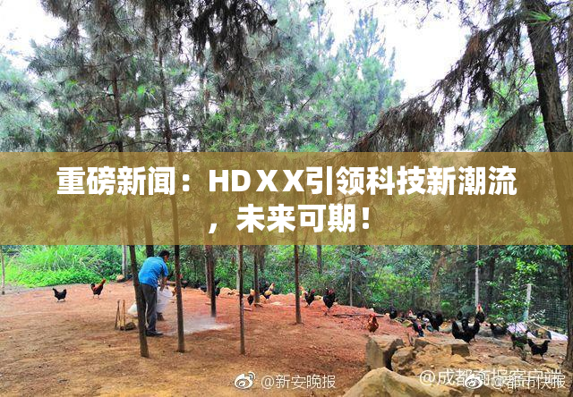 重磅新闻：HDⅩX引领科技新潮流，未来可期！