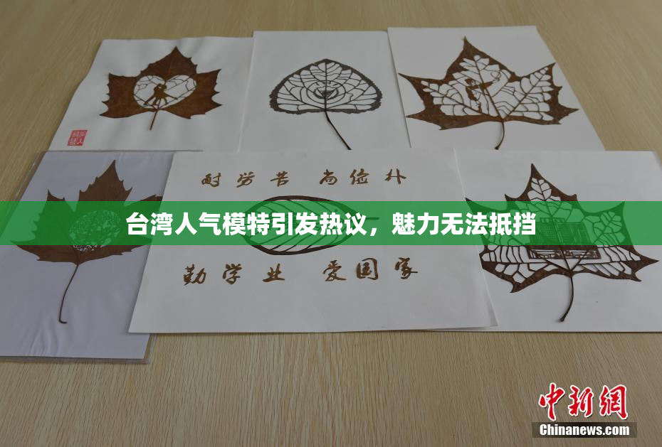台湾人气模特引发热议，魅力无法抵挡