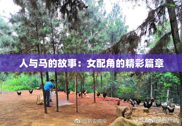 人与马的故事：女配角的精彩篇章