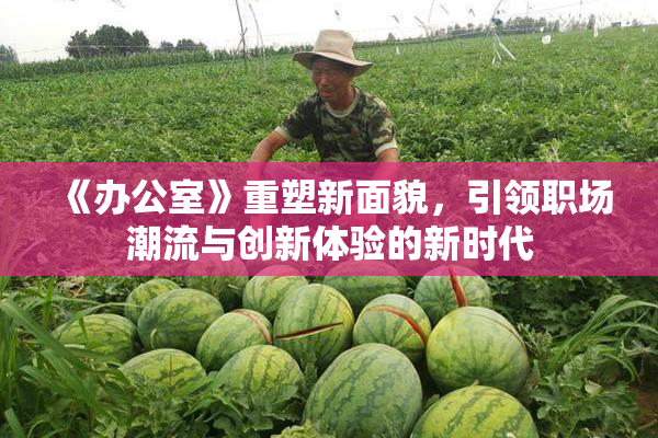 《办公室》重塑新面貌，引领职场潮流与创新体验的新时代