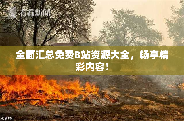 全面汇总免费B站资源大全，畅享精彩内容！
