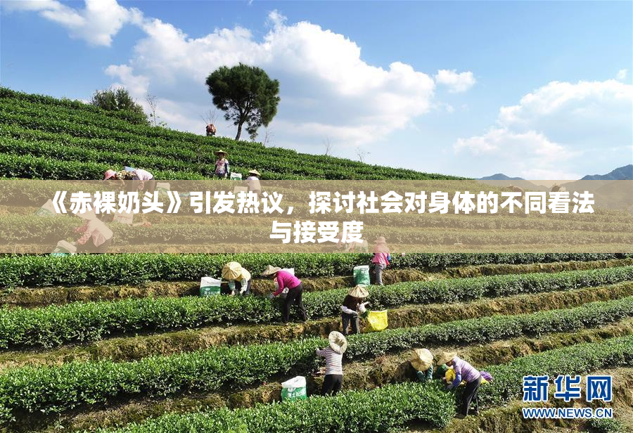 《赤裸奶头》引发热议，探讨社会对身体的不同看法与接受度