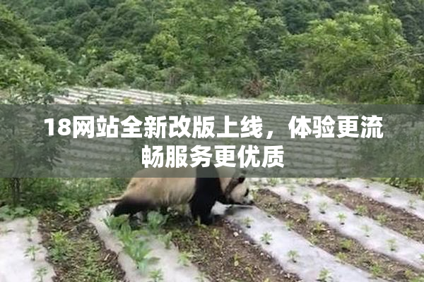18网站全新改版上线，体验更流畅服务更优质