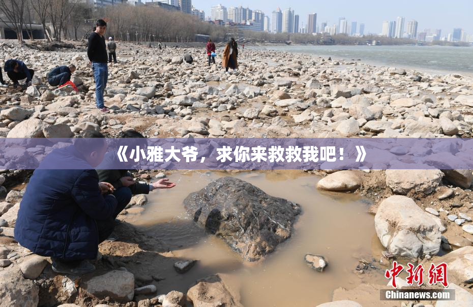 《小雅大爷，求你来救救我吧！》