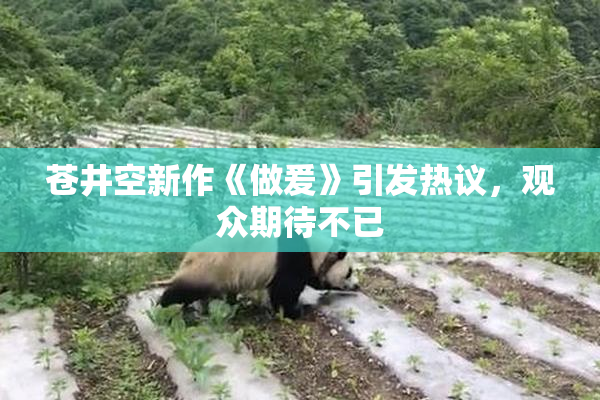 苍井空新作《做爰》引发热议，观众期待不已