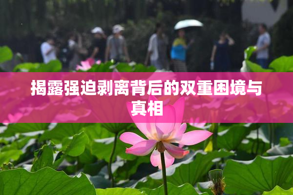 揭露强迫剥离背后的双重困境与真相