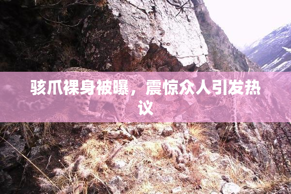骇爪裸身被曝，震惊众人引发热议